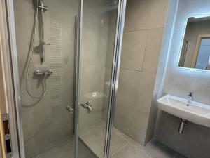 Pronájem bytu 1+kk, Opava, Císařského pluku, 34 m2