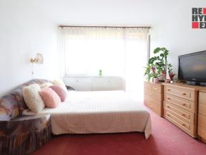 Prodej bytu 4+1, Stráž pod Ralskem, Hornická, 94 m2