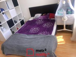 Pronájem bytu 1+1, Olomouc - Nová Ulice, Krapkova, 48 m2