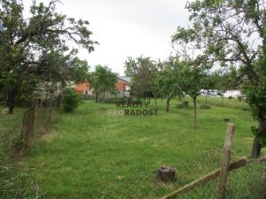 Pronájem zahrady, Nový Šaldorf-Sedlešovice, Ke Skleníkům, 811 m2