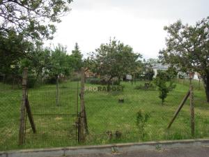 Pronájem zahrady, Nový Šaldorf-Sedlešovice, Ke Skleníkům, 811 m2