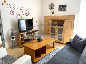 Prodej bytu 2+1, České Budějovice - České Budějovice 3, Čéčova, 66 m2