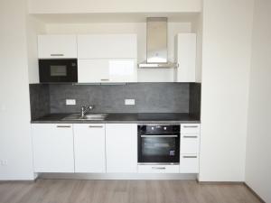 Pronájem bytu 1+kk, Praha - Vysočany, Svatošových, 45 m2