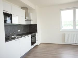 Pronájem bytu 1+kk, Praha - Vysočany, Svatošových, 45 m2