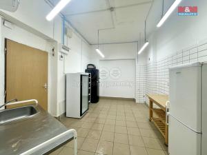 Pronájem výrobních prostor, Teplice, Duchcovská, 75 m2
