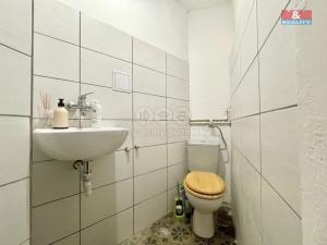 Pronájem obchodního prostoru, Teplice, Duchcovská, 75 m2
