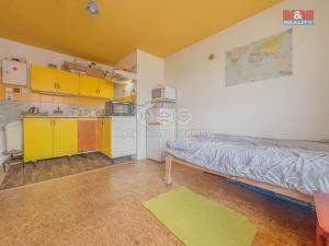 Prodej bytu 1+kk, Liblice, 25 m2