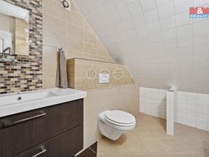 Prodej rodinného domu, Nechanice - Lubno, 238 m2