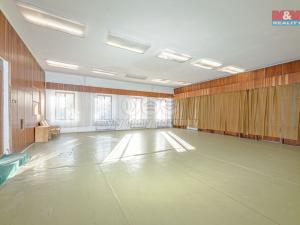 Prodej rodinného domu, Nové Město nad Metují, Rezek, 1700 m2