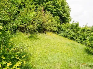 Prodej chaty, Stražisko - Maleny, 36 m2