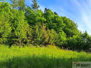 Prodej chaty, Stražisko - Maleny, 36 m2