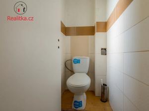 Prodej rodinného domu, Štětí, 140 m2