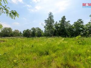 Prodej pozemku pro bydlení, Hrob, 991 m2
