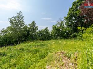 Prodej pozemku pro bydlení, Hrob, 991 m2