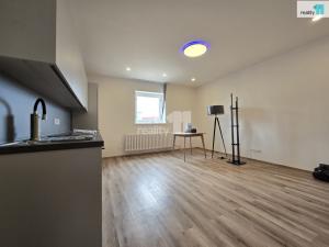Pronájem bytu 2+kk, Praha - Bubeneč, Korunovační, 55 m2