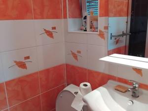 Pronájem bytu 1+kk, Dolní Lhota, 27 m2