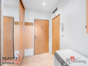 Pronájem bytu 1+kk, Plzeň, Kaznějovská, 35 m2