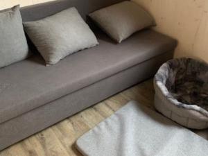 Pronájem chalupy, Velká Buková, Velká Buková, 100 m2