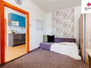Prodej bytu 1+1, Znojmo, Palliardiho, 43 m2