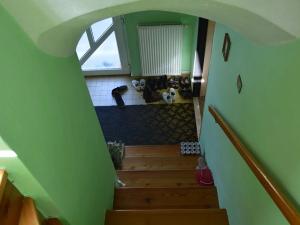 Prodej rodinného domu, Zlaté Hory, Alšova, 120 m2