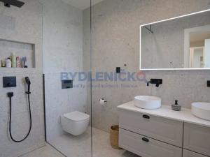 Pronájem rodinného domu, Dynín, 271 m2