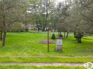 Prodej zahrady, Horní Bukovina, 1146 m2