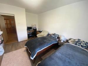 Prodej rodinného domu, Valašské Klobouky, 250 m2