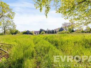 Prodej zemědělské usedlosti, Golčův Jeníkov - Stupárovice, Stupárovice, 10714 m2