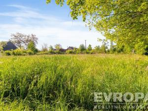 Prodej zemědělské usedlosti, Golčův Jeníkov - Stupárovice, Stupárovice, 100 m2