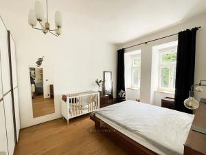 Pronájem bytu 2+1, Praha - Karlín, Vítkova, 68 m2