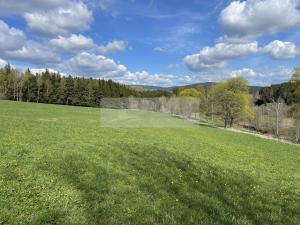 Prodej ubytování, Zbytiny - Blažejovice, 453 m2