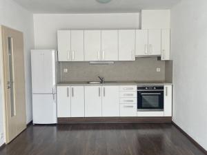 Pronájem bytu 2+kk, České Budějovice - České Budějovice 3, Nová, 54 m2