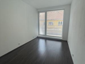 Pronájem bytu 2+kk, České Budějovice - České Budějovice 3, Nová, 54 m2