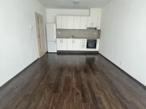 Pronájem bytu 2+kk, České Budějovice - České Budějovice 3, Nová, 54 m2