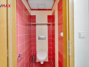 Prodej bytu 2+kk, Opatovice nad Labem, Neplachova, 100 m2