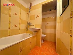 Pronájem bytu 1+kk, Sušice, Sirkařská, 21 m2