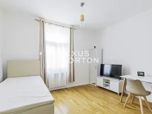 Pronájem bytu 1+kk, Praha - Vinohrady, Rubešova, 20 m2