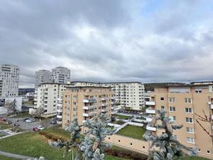 Prodej bytu 3+kk, Brno, Majdalenky, 111 m2