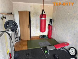 Prodej bytu 4+1, Teplice, Rohová, 90 m2