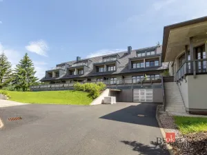 Prodej bytu 2+kk, Říčky v Orlických horách, 56 m2