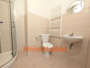 Pronájem bytu 1+kk, Stonava, Bažantnice, 21 m2