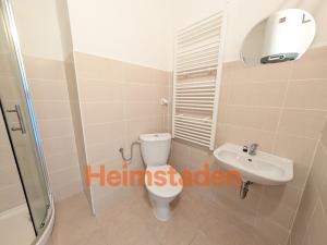 Pronájem bytu 1+kk, Stonava, Bažantnice, 21 m2