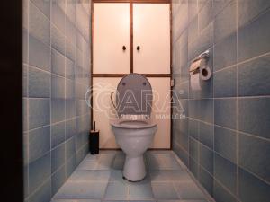 Prodej bytu 6+kk a větší, Praha - Záběhlice, Dunická, 376 m2