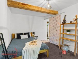 Prodej rodinného domu, Litíč - Nouzov, 400 m2