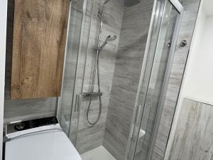 Pronájem bytu 2+kk, České Budějovice, Kostelní, 38 m2