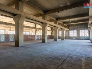 Pronájem výrobních prostor, Ostrava, 12000 m2