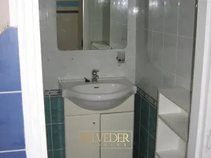 Pronájem bytu 1+1, Teplice, Pod Doubravkou, 34 m2