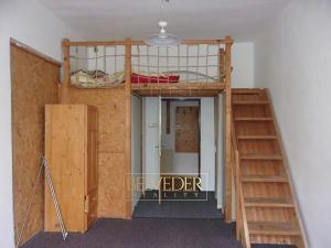 Pronájem bytu 3+1, Teplice, U Hadích lázní, 98 m2