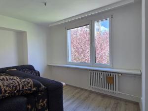 Pronájem bytu 3+1, Benešov, Jiřího Horáka, 60 m2