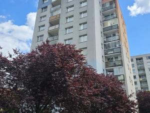 Pronájem bytu 3+1, Benešov, Jiřího Horáka, 60 m2